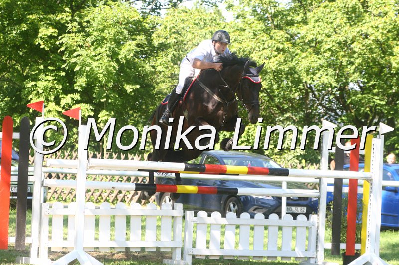 308M1966_Chukka_Spring Mxx.JPG